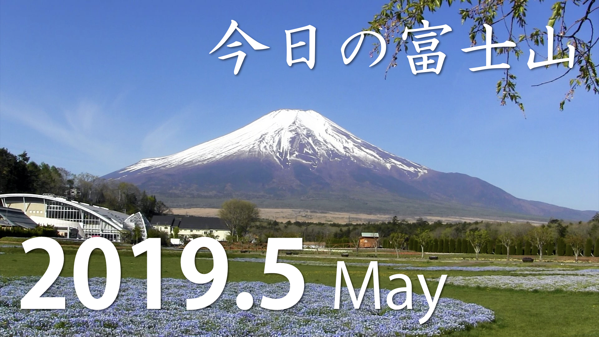 Stay Home 家で富士山 19年5月の富士山 Mt Fuji May 19 自宅待機 富士山来訪お断り 富士山周辺に来ないで 富士山への観光控えての時だから おうちでテレバケーション きまぐれ富士山 絶景動画